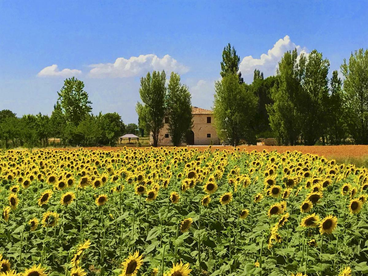 Villa Licinia Фолиньо Екстериор снимка